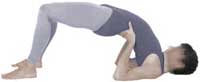 bridge posture